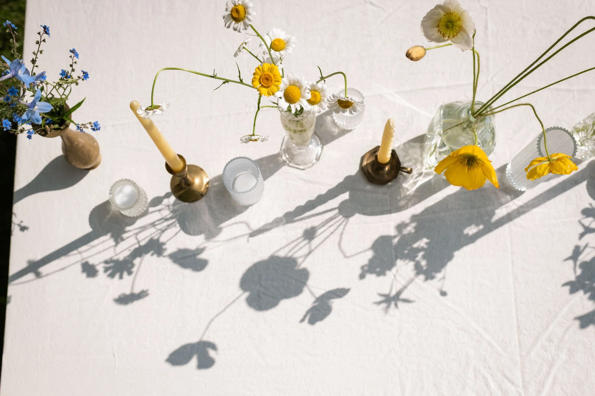 backyard wedding asheville-3.jpg