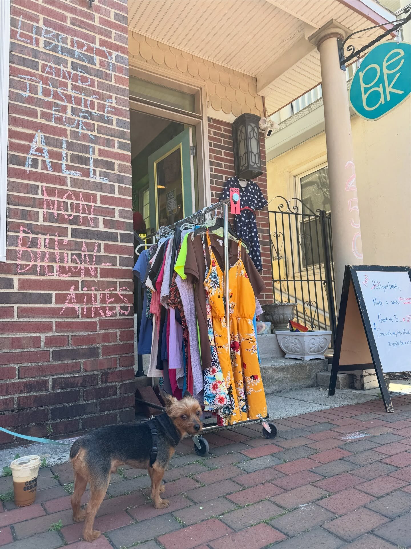 The America we all want ➡️ The America we have. Here&rsquo;s to another 250 years of learning and growing, dogs, iced lattes, small businesses, equal rights, healthcare, compassion, environmental concern, hands off a woman&rsquo;s body, and state fai