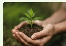 service-plant.jpg