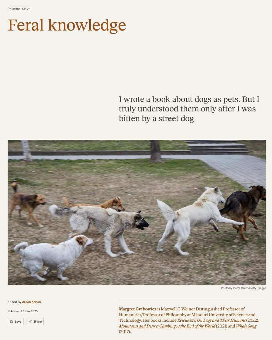 b0da368d.png