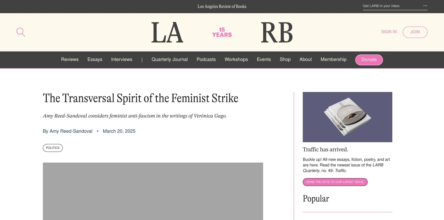 07-amy-reed-sandoval-los-angeles-review-of-books-the-transversal-spirit-of-the-feminist-strike.png