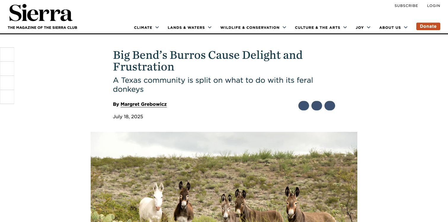 08-margret-grebowicz-sierra-magazine-big-bends-burros-cause-delight-and-frustration.png
