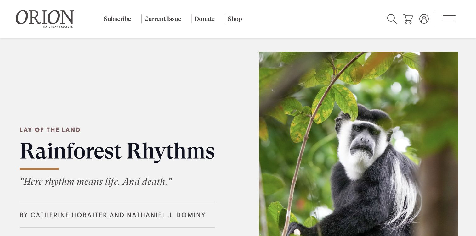01-catherine-hobaiter-and-nathaniel-j-dominy-rainforest-rhythms.png