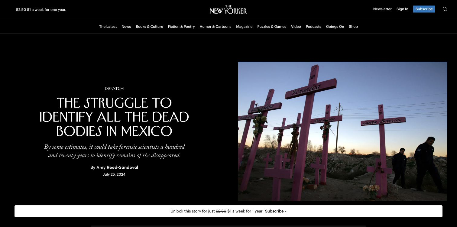 02-amy-reed-sandoval-the-new-yorker-the-struggle-to-identify-all-the-dead-bodies-in-mexico.png