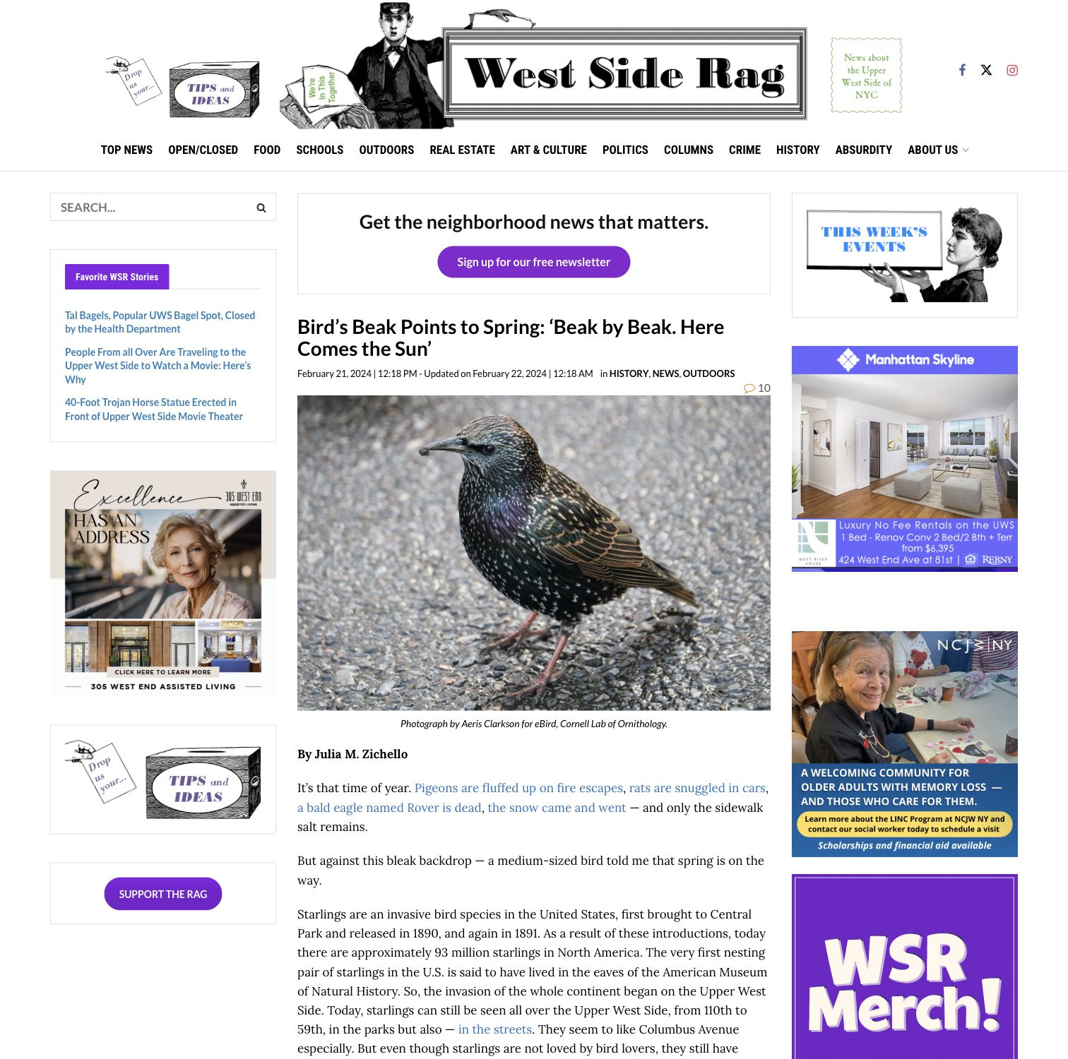 03-julia-zichello-west-side-rag.png