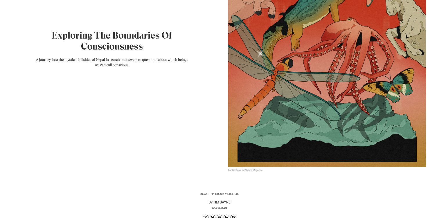 06-tim-bayne-noema-boundaries-consciousness.png