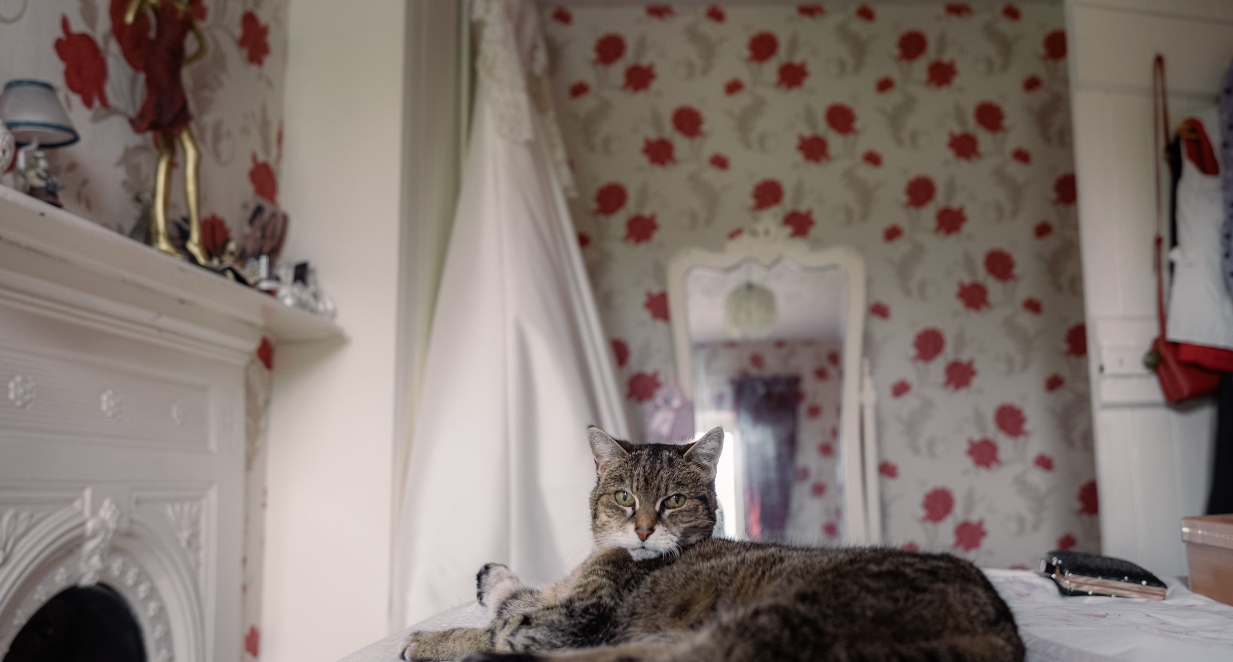 A tabby cat lying on a bed in a bedroom with floral wallpaper, a mirror, and decorative fireplace, looking directly at the camera.
