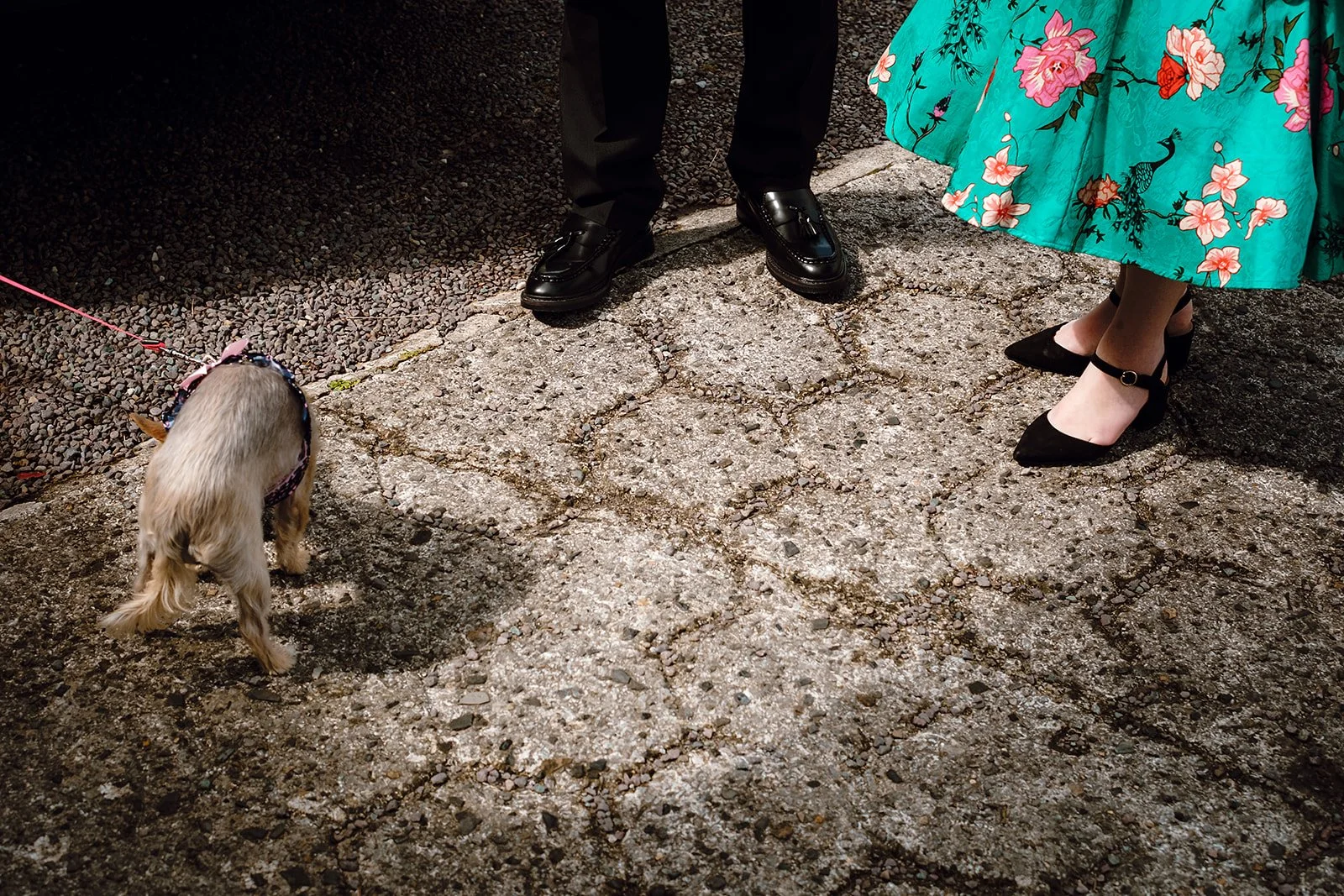 the-tankard-wedding-J&K-15.08.24-42.jpg