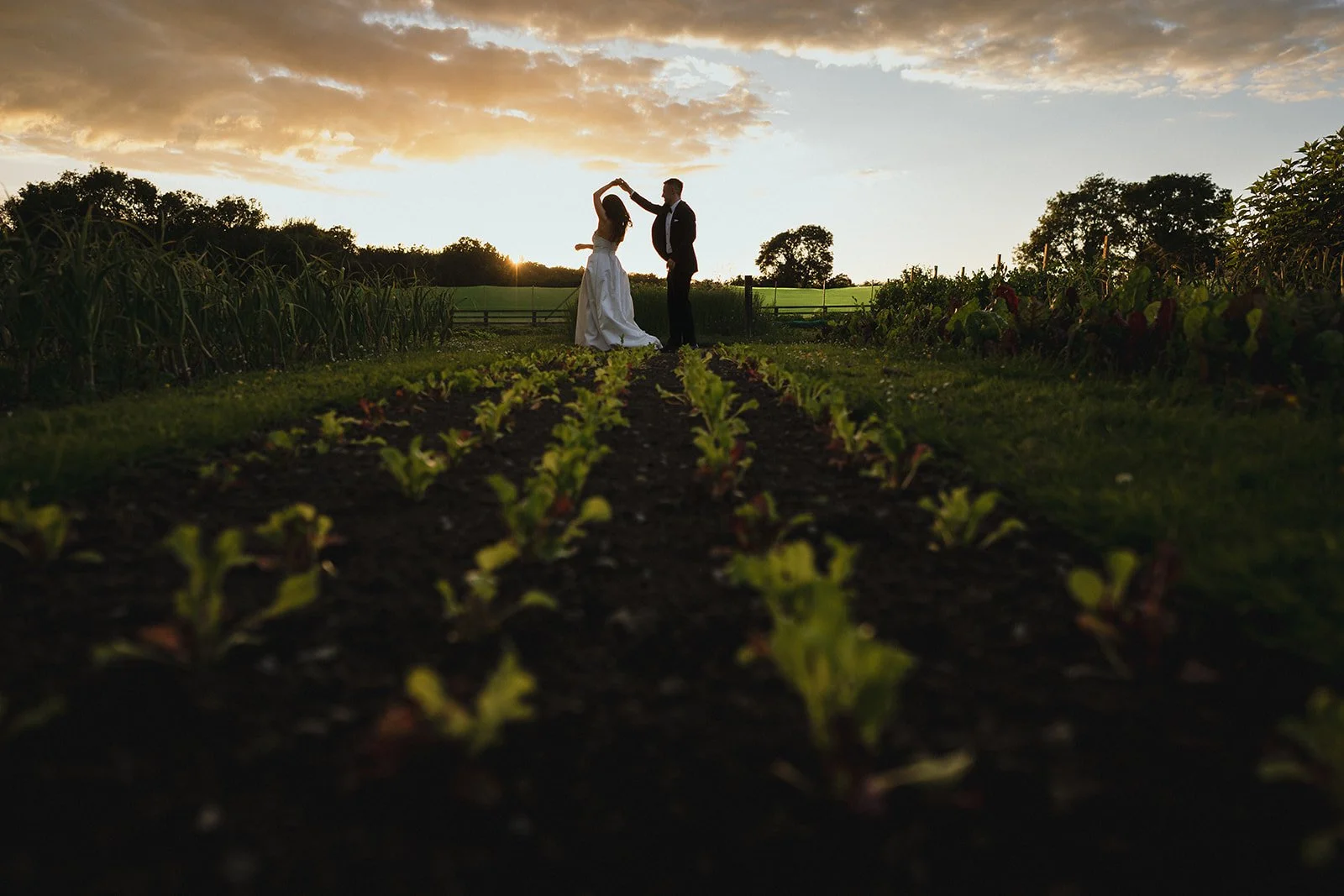 A bride and groom dancing in a field at sunset with rows of young plants in the foreground.