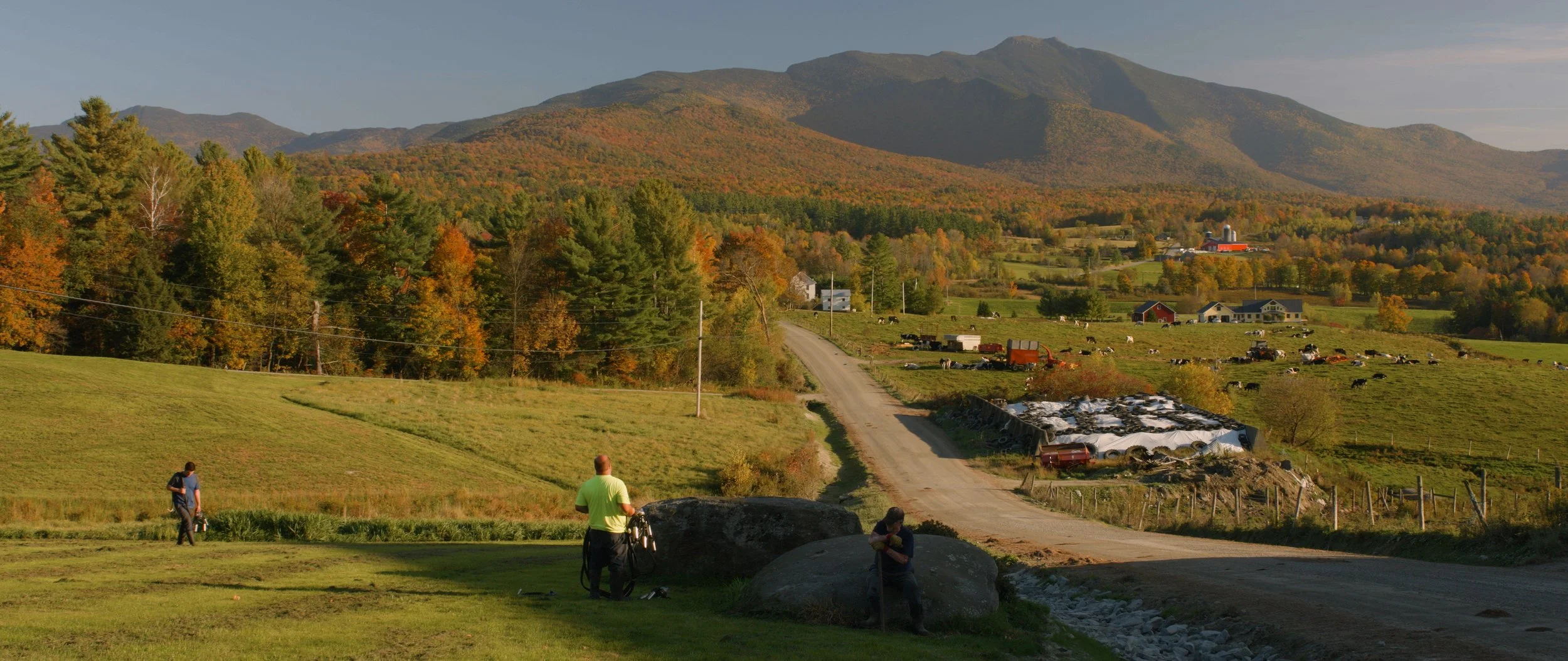 The Valley of Search  2.35: 1 video still (in-progress, 2026)