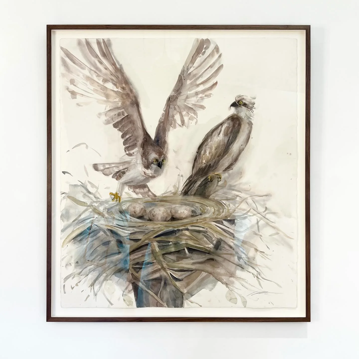 49x43 Watercolor on heavy tooth cotton rag paper by @hollywach. Raised float on oversized rag matboard, framed in .75x2.25 walnut, and finished using @truvuefineart Museum Optium Acrylic. Truly magnificent work! 

Museum Optium acrylic is 99% UV filt