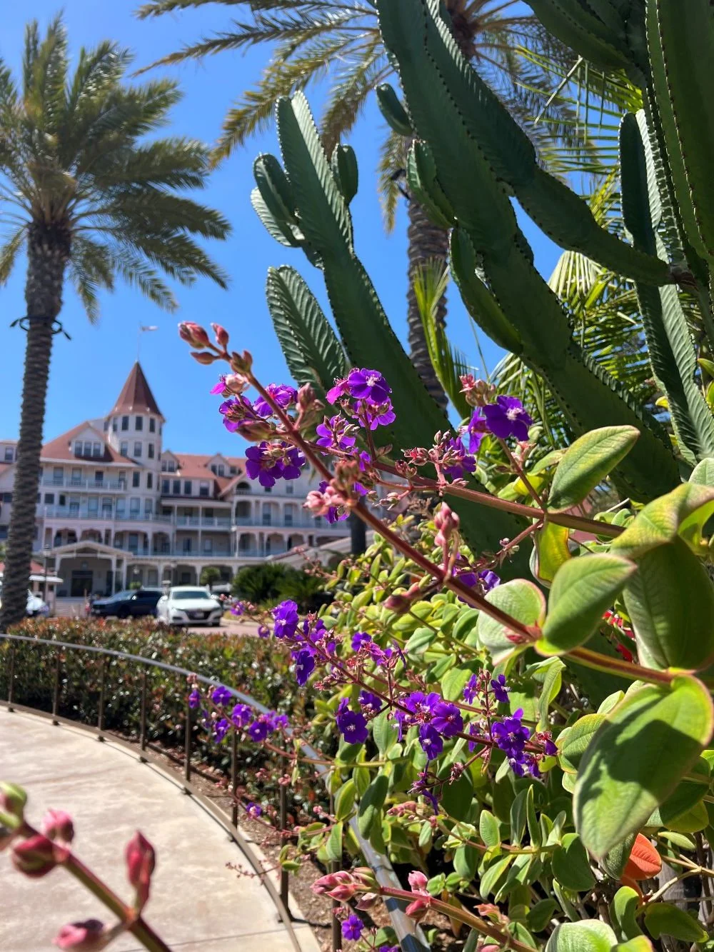 Hotel del Coronado, Sarah Kleiner