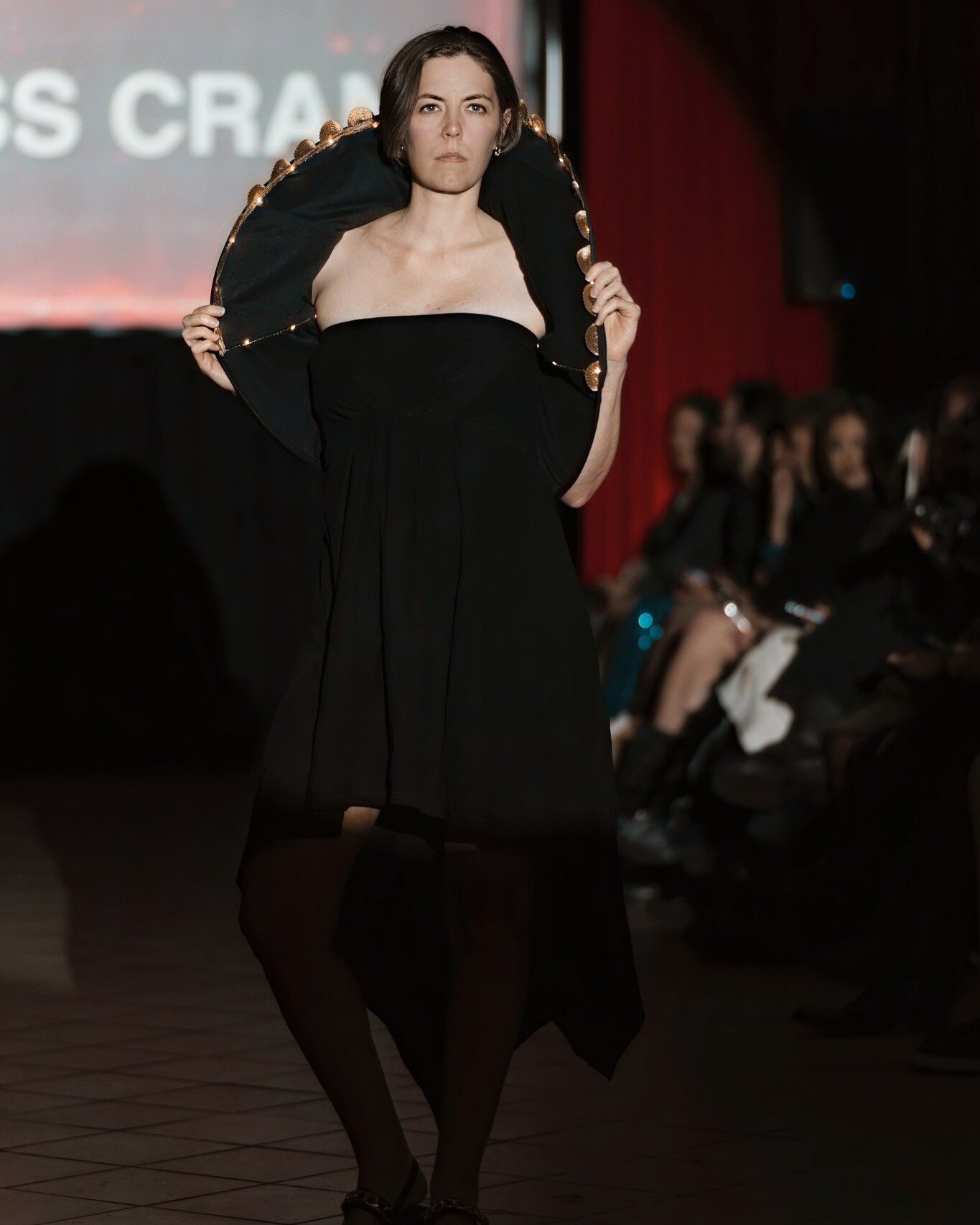 Explore the intersection of mental health, fashion, and environmental consciousness. Watch the ShadowBall Fashion Show and join the conversation. Read more: https://jesscrane.com/blog/shadowball2024 [or Lin#shadowball 

Photo by Felix Sanchez, Edited