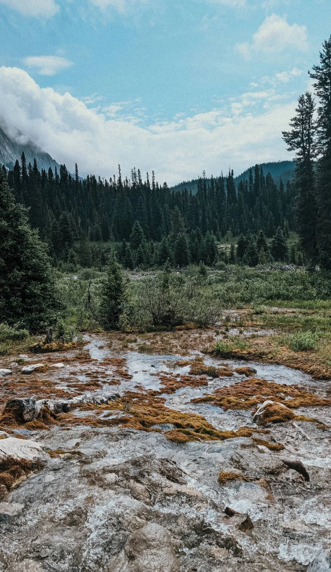 The Beauty Around Us