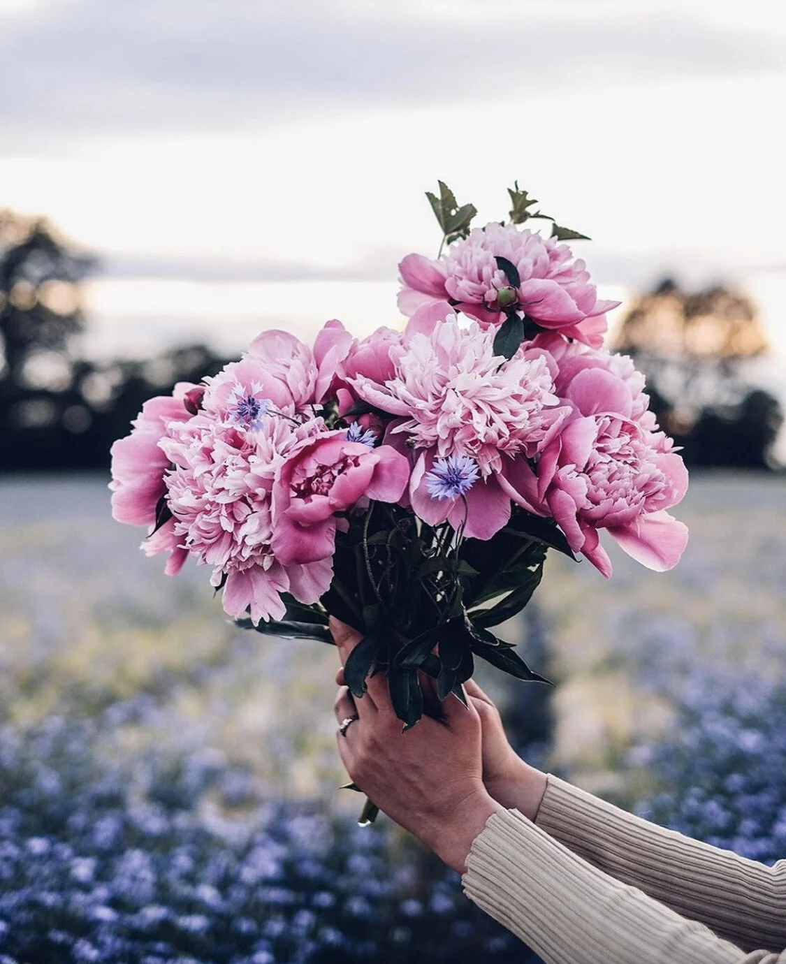 A Warm Hug and A Listening Ear