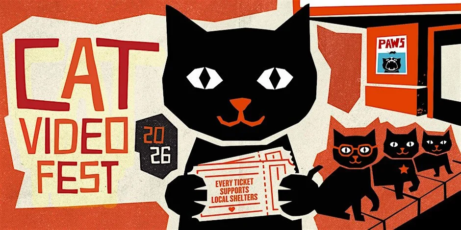 cat video banner 4 copy.jpg