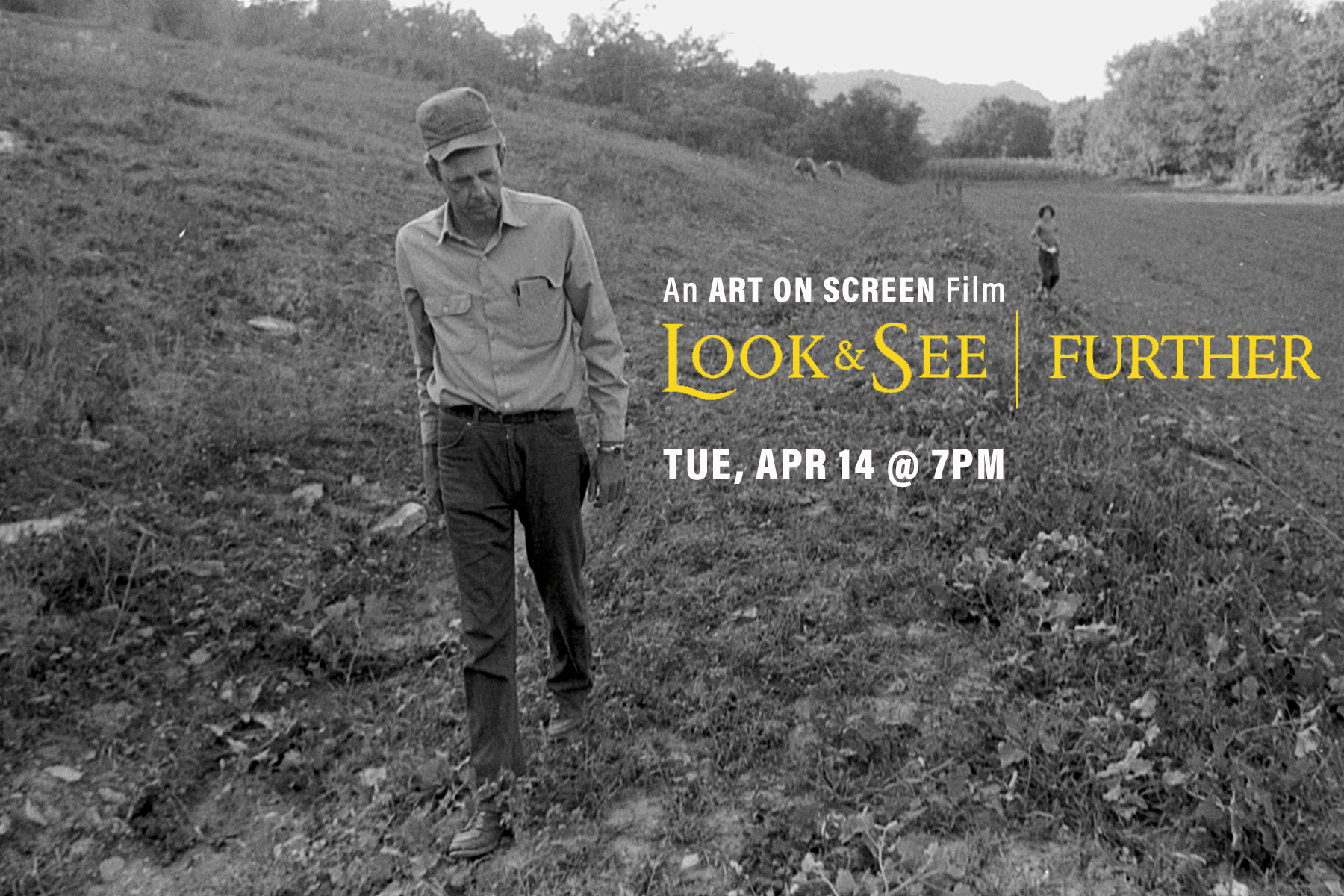 look and see web banner.png