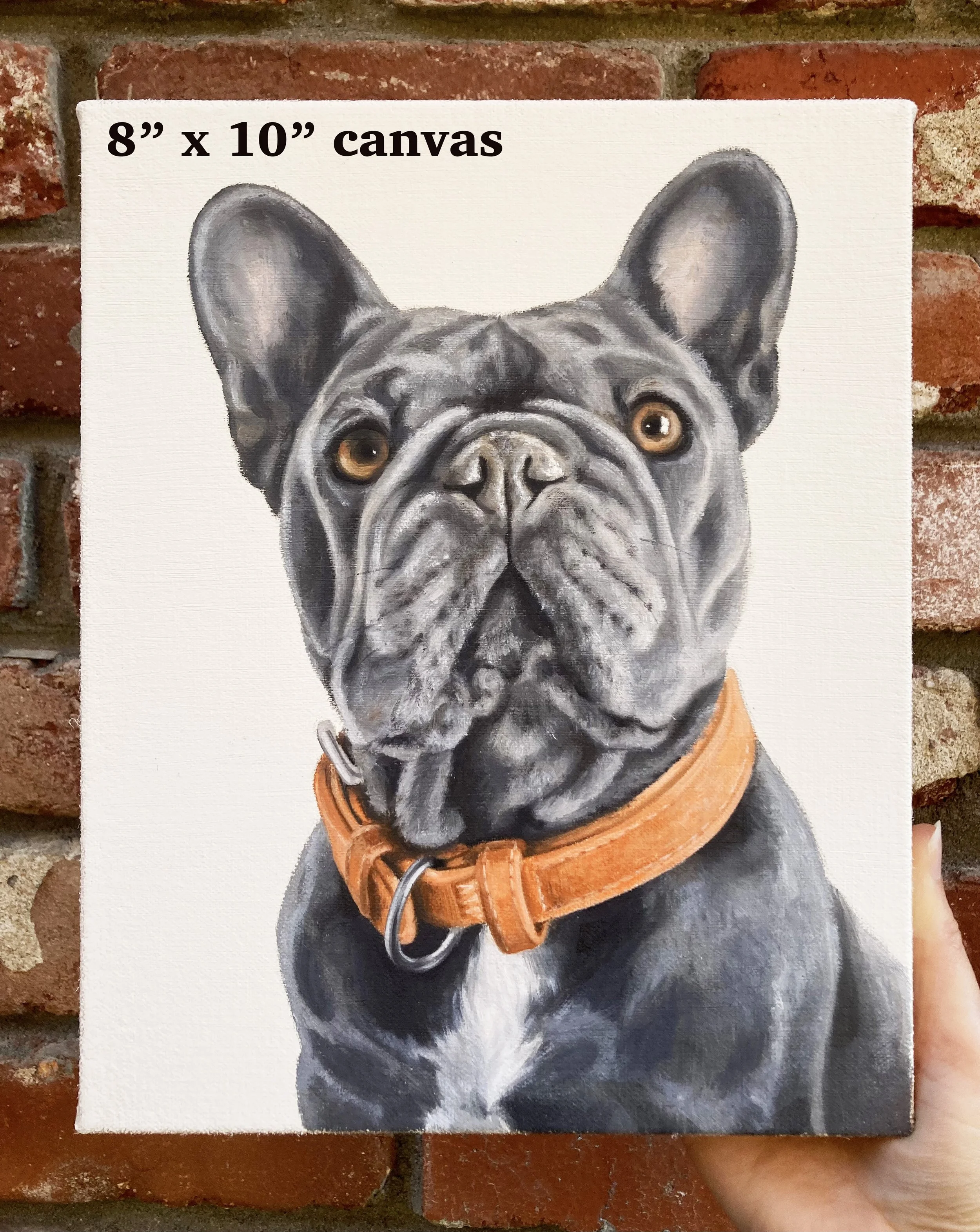 dog810.jpg