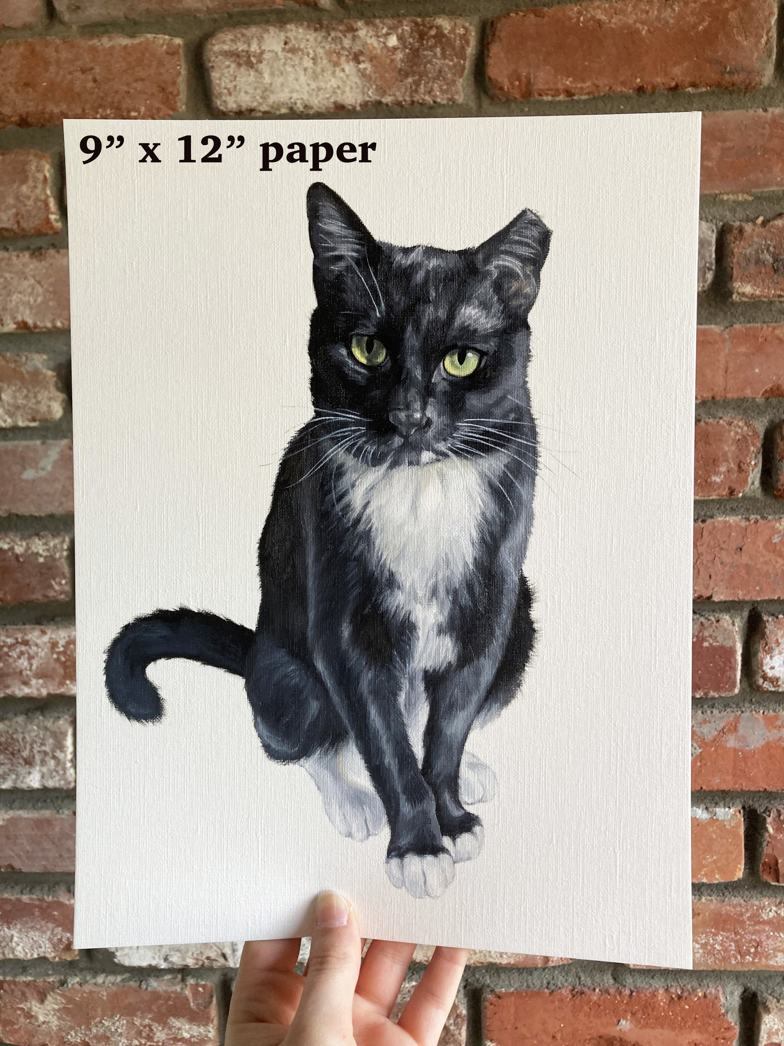 cat912.jpg