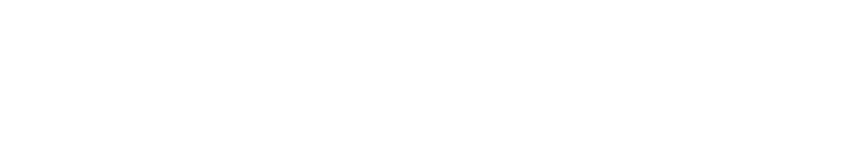 Novisto logo in white.