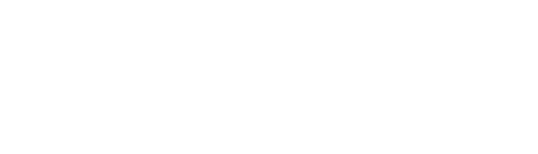 Ada logo in white.