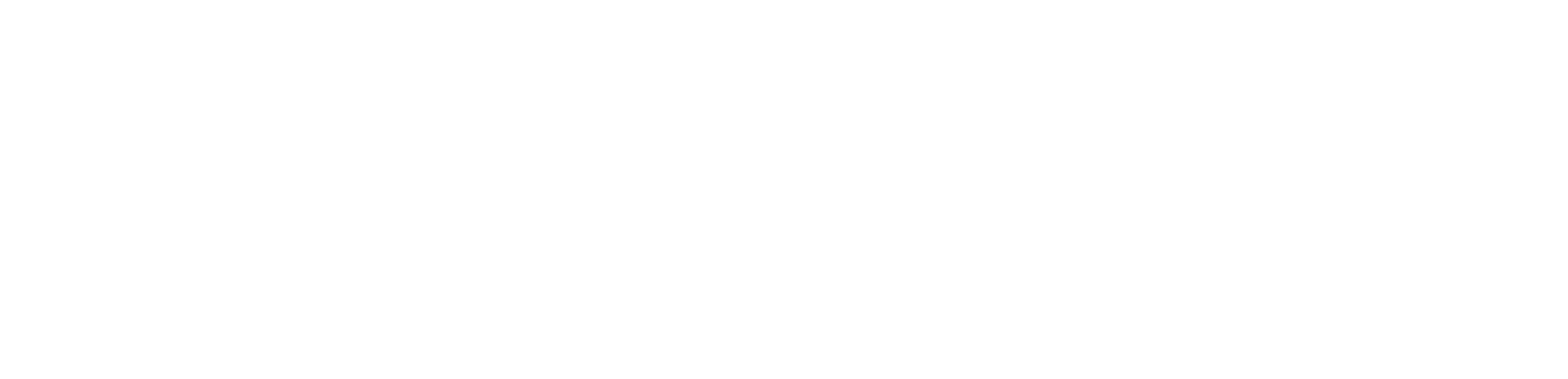 White logo for Logibytes.