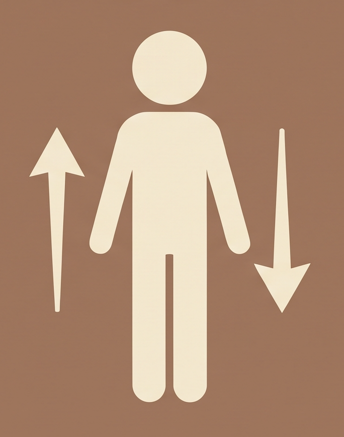 Nervous System Regulation Illustration