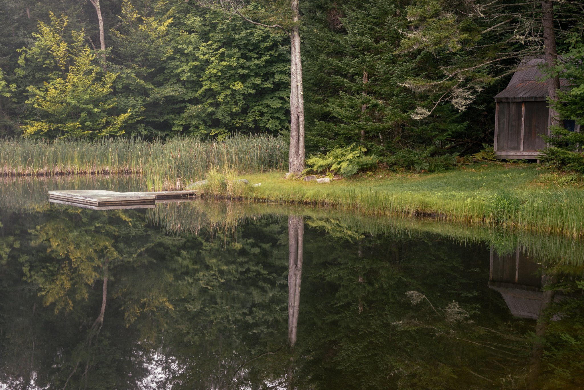 Yin pond.jpg