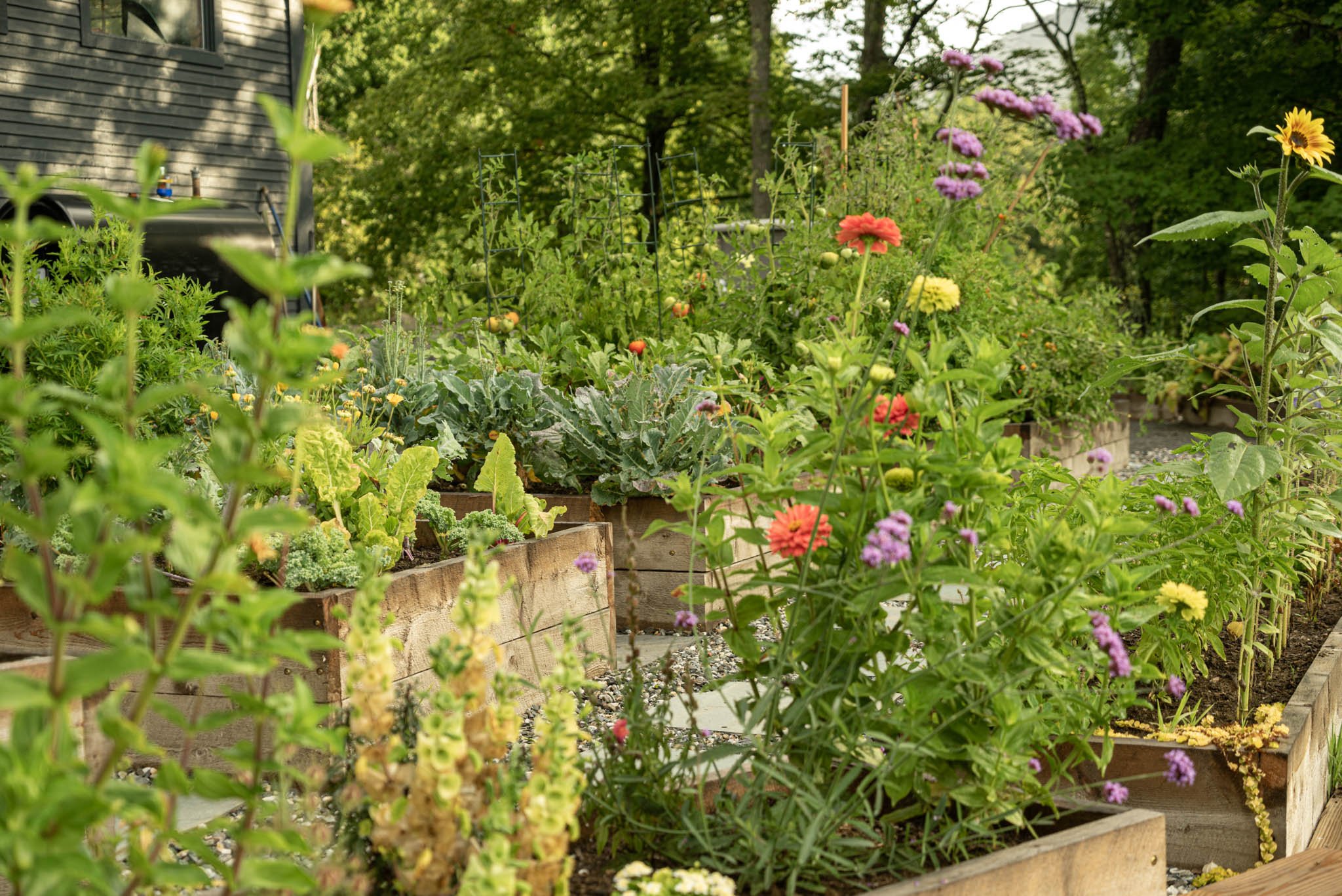 garden1.jpg