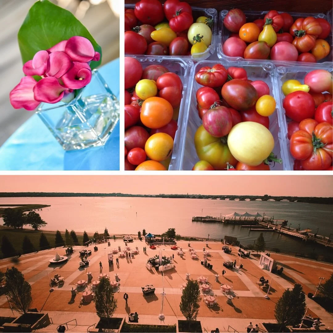 August is winding down in DC &mdash; it brought us juicy tomatoes, blooming flowers, and skies that light up like a painting.  Just like every season, each event has its own unique story and tone.  Let us bring all the colors to life and help your ne