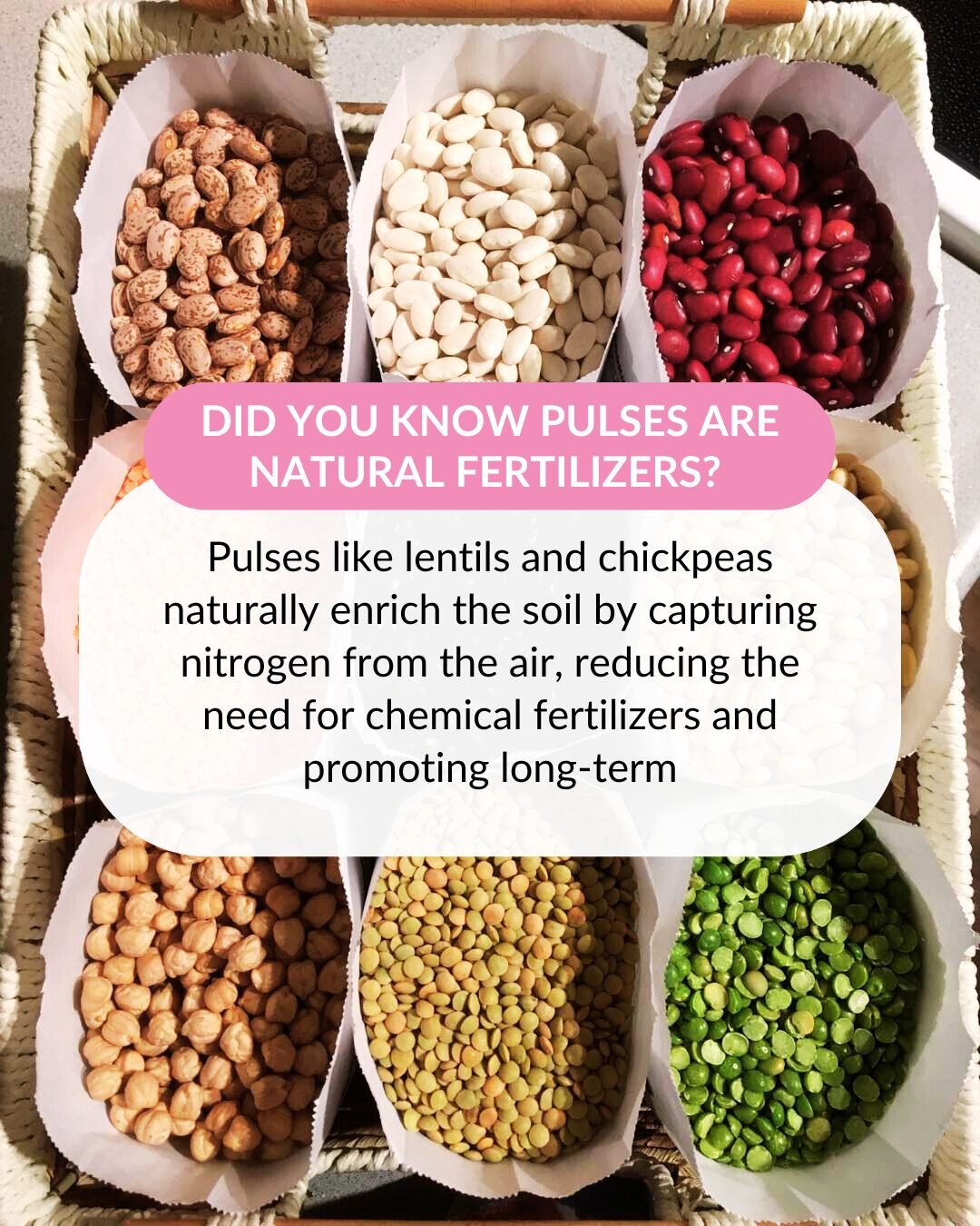 🌱💧 Choosing pulses means choosing sustainability! From naturally enriching soil to conserving water resources, pulses like lentils and chickpeas lead the way to a greener future.

What are your favourite facts about pulses? @albertapulsegrowers