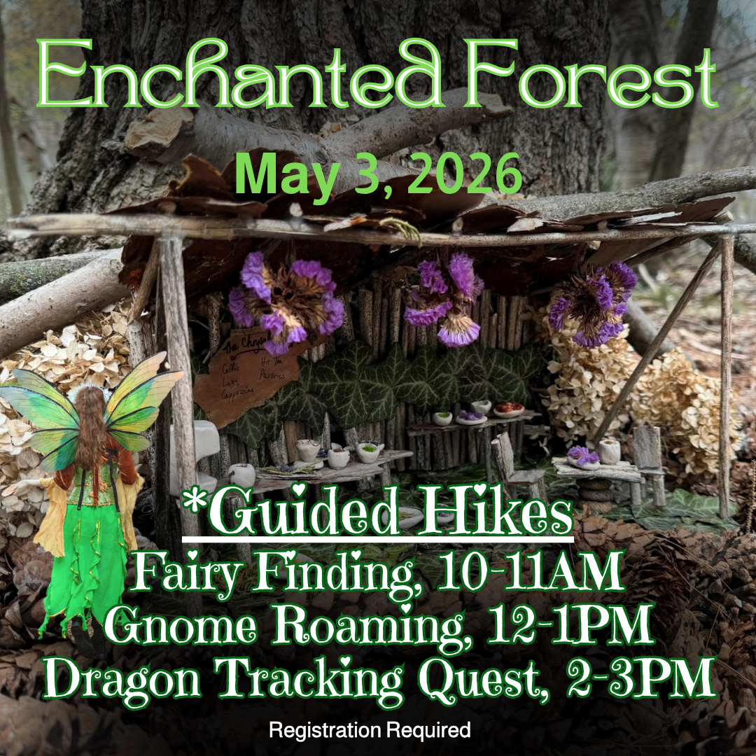 2026 guided hike Enchanted.png