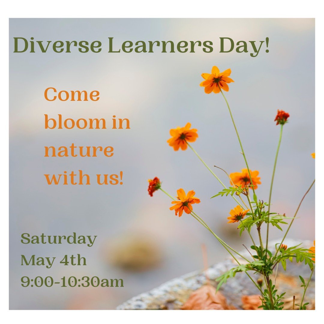 Diverse Learners Day is on Saturday, May 4th! This tailored program caters to children with special needs and their two family members, offering a supportive environment to navigate the complexities of learning, sensory, language, emotional, behavior