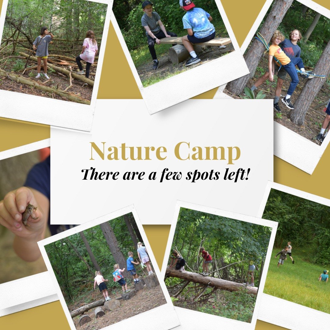 If you are still looking for something for your kiddos this summer, sign up for Nature Camp! Click the link to register https://www.johnsonnaturecenter.org/camp
#nature #naturecamp #summercamp #daycamp #summeroutside #naturedaycamp #getoutside #kidsa