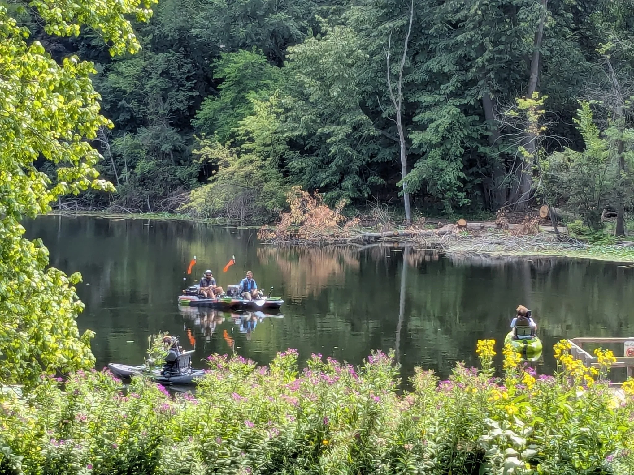 🎣 Big surprise for our campers! Before heading out to film an episode on our pond, The Bassquatch Hunter and a zoologist from the Detroit Zoological Society stopped by to chat with our Forest Friends campers. 🐟🌿
A fun meet-and-greet full of curios