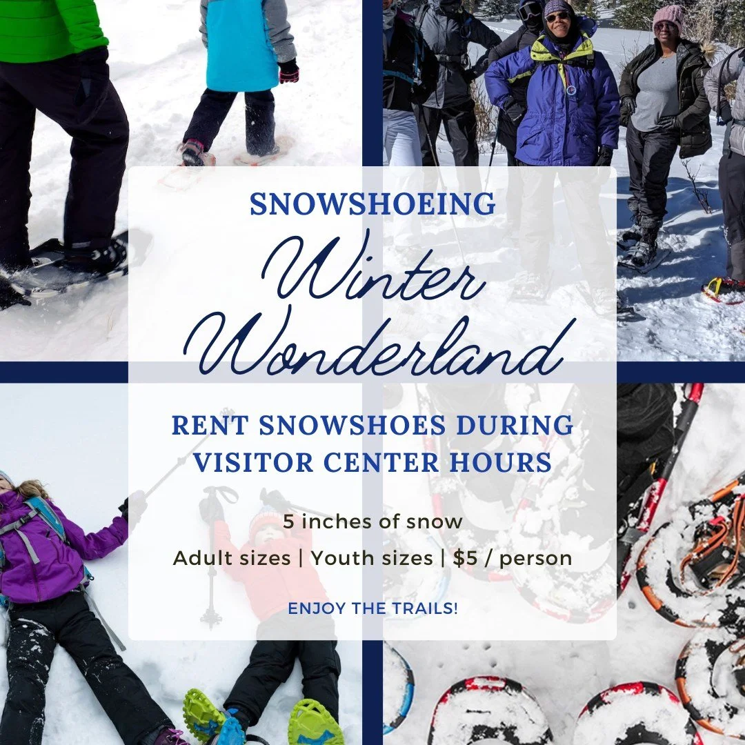 Snowshoeing is available at Johnson Nature Center during the Visitor Center open hours of 10a-4pm on the first Sunday of the month and then on the remaining Saturdays of the month.  Come out and rent snowshoes to use onsite when we have at least 5 in