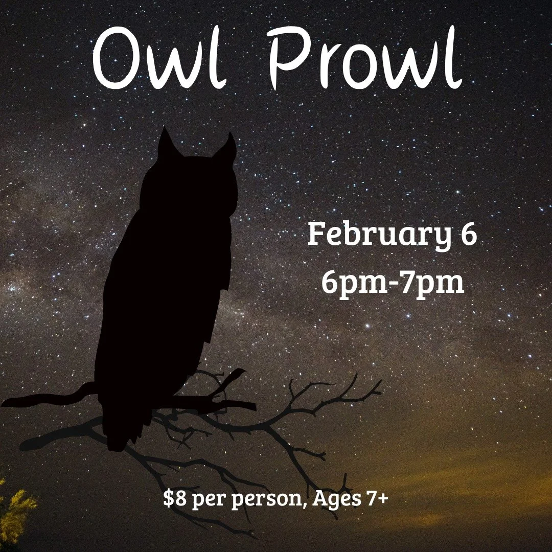 There is still time to sign up for the OWL PROWL.  Register in advance at JohnsonNatureCenter.org