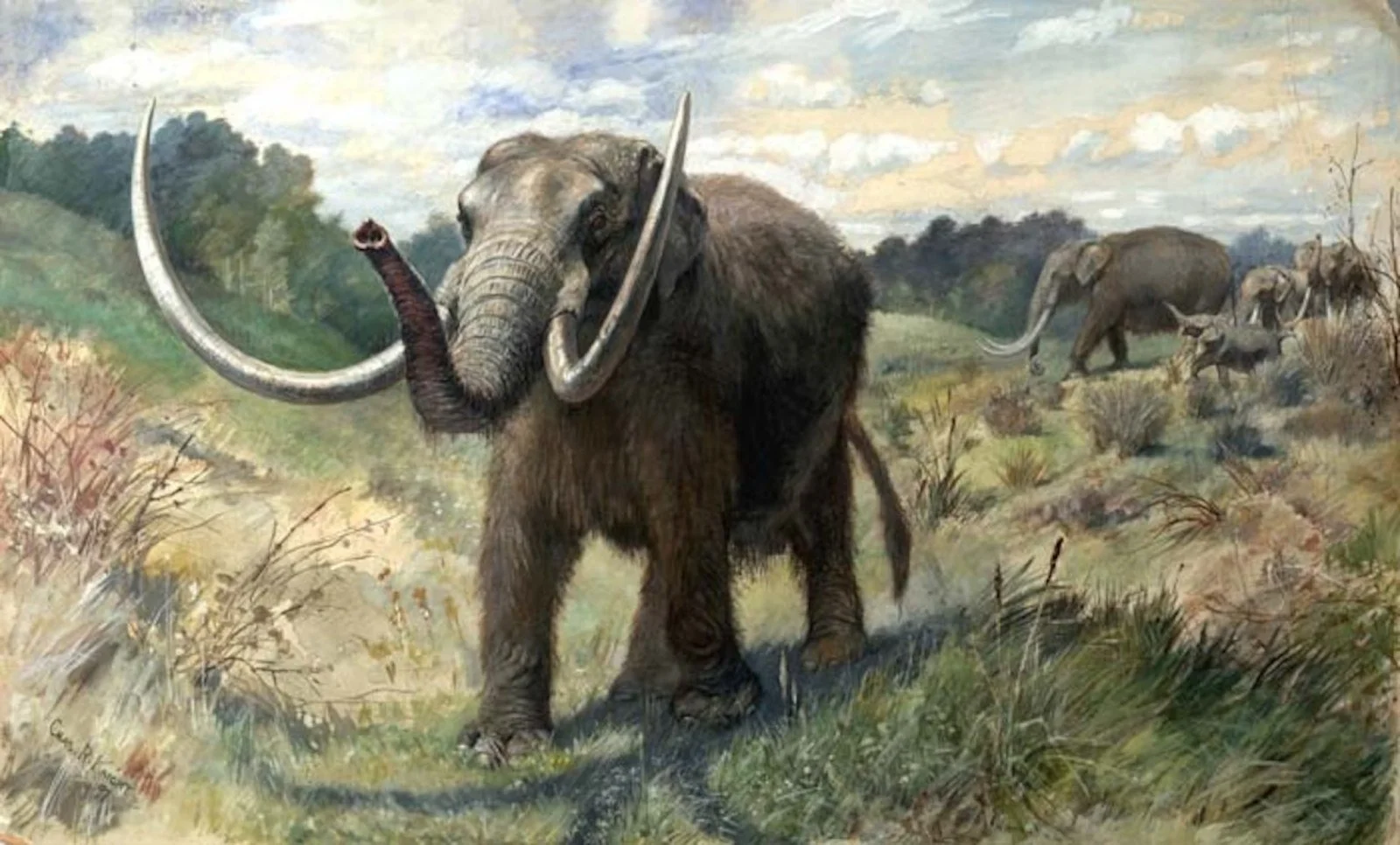 This is a mastodon, the state fossil of Michigan. They must have loved it here because we&rsquo;ve found around 300 individual mastodons in our state. Did they enjoy the upper or lower peninsula?