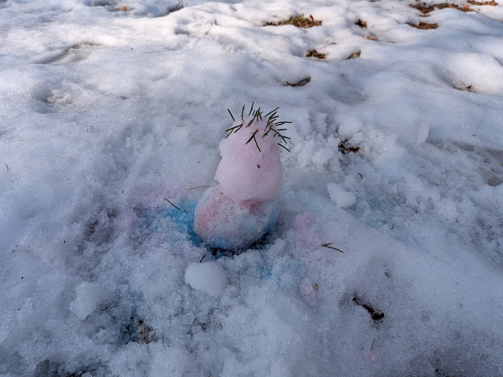 We LOVE being outside here at the Johnson Nature Center - and with the snow slowly melting, what better way to spend the day than outside, painting in the snow!

All we needed was snow, our imaginations, food coloring, and a few spray &amp; squirt bo