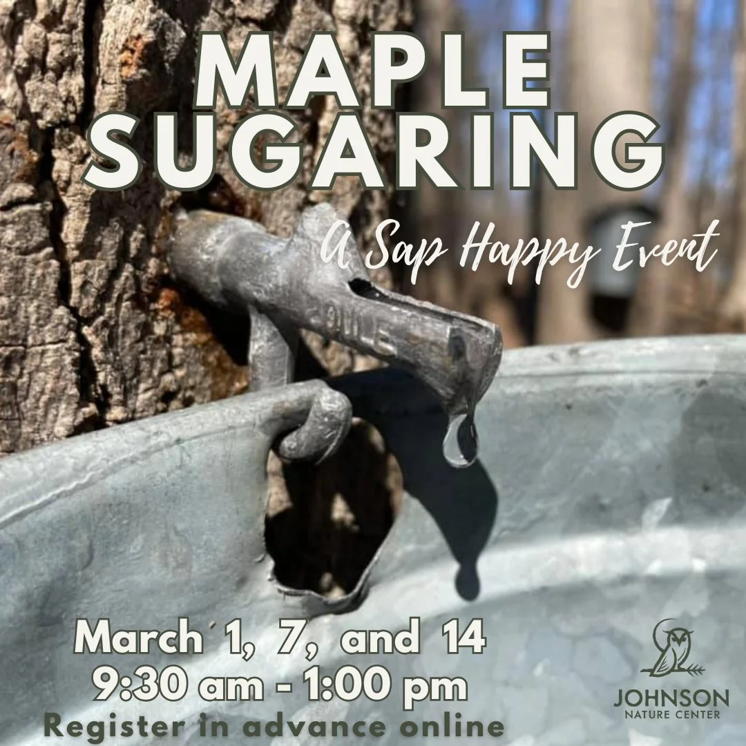 We are less than two weeks out to our first maple sugaring event of the season! Sign up to come enjoy the sweetest season of the year!  https://www.johnsonnaturecenter.org/maple-sugaring