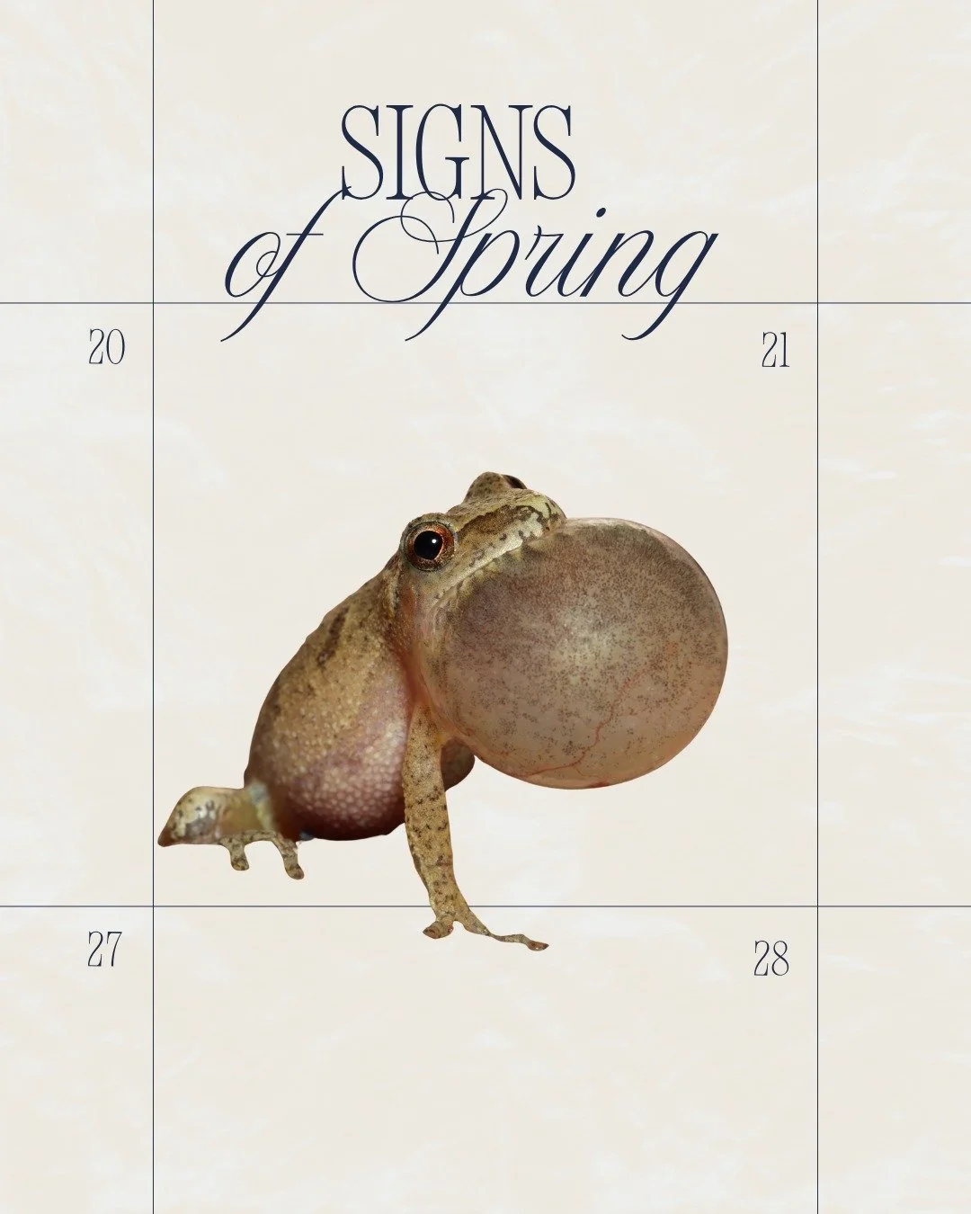 It is fun to try to notice the &ldquo;First of the Season&rdquo; signs as we enter into spring! 
On these warm evenings, try to notice the &ldquo;peep, peep, peep&rdquo; call of the spring peepers. 
*Did you know no frog in Michigan actually says &qu
