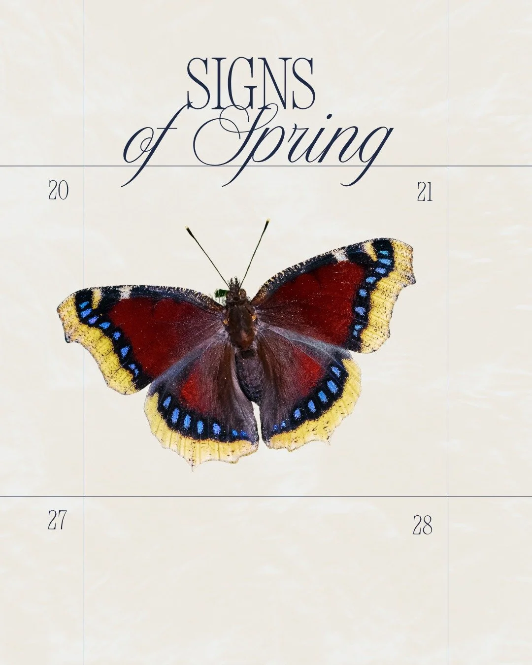 It is fun to try to notice the &ldquo;First of the Season&rdquo; signs as we enter into spring! 

Mourning Cloak butterflies can be seen flying around this time of year!
