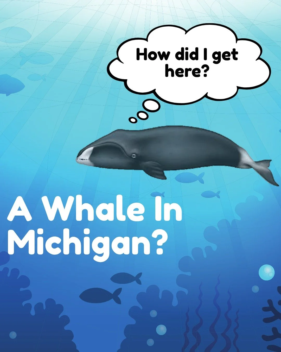 We know Michigan had an ocean around 300 million years ago, but as we can see, those seas are long gone. So how come we found a bowhead whale&rsquo;s rib bone dating back to the Late Pleistocene? This fossil was found in 1927 during the construction 