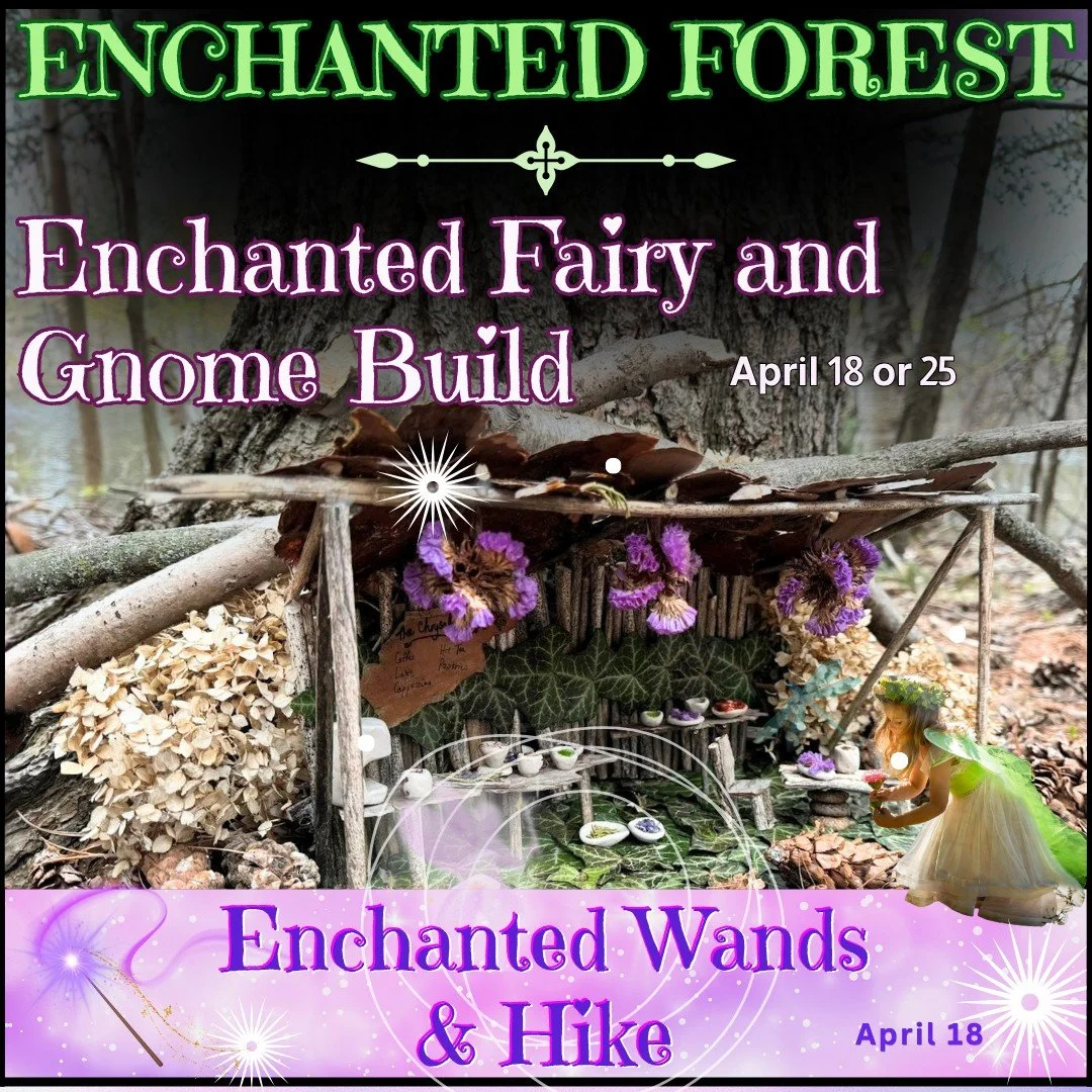 Step into a world of quiet magic within the Enchanted Forest, a forest walk filled with wonder at every turn. Join one of our programs surrounding the Enchanted Forest to build tiny homes for our fairytale creatures which will be featured in the Ench