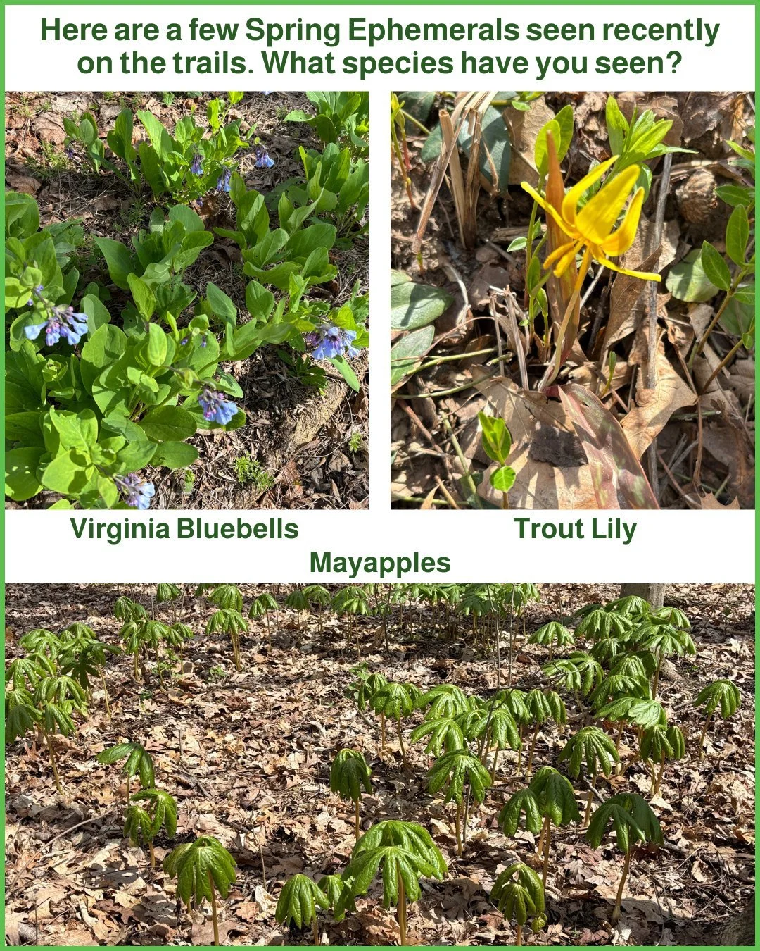 Spring isn&rsquo;t just a season&mdash;it&rsquo;s an invitation 🌱

Take a mindful walk, notice the blooms, listen to the birds, and breathe it all in. Try a new trail, snap a photo, or dig into some gardening.

Simple moments in nature - where calm 