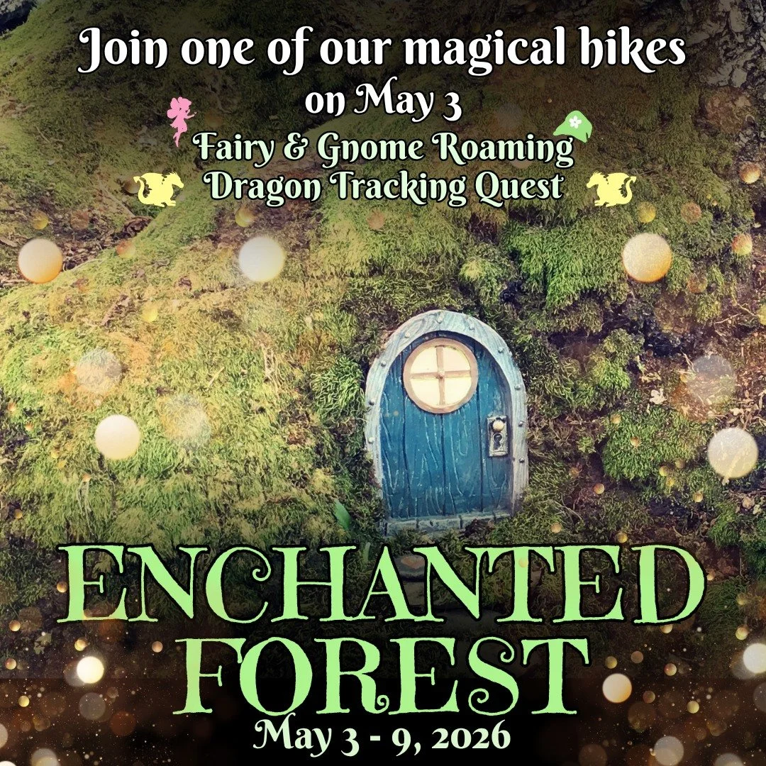 Our Enchanted Forest begins this Sunday, May 3, 2026 with an option of a guided hike (registration required). Wander the forest and let your imagination lead. Spot tiny doorways, stumble on hidden villages, and soak in the quiet magic along the way.
