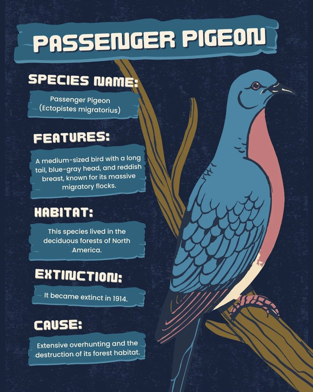This week, we look at recently extinct Michigan animals. The first is the passenger pigeon, which once covered most of North America. Humans have always hunted passenger pigeons, but some native Americans would only hunt juveniles, as they didn&rsquo
