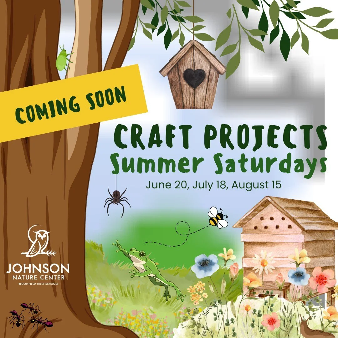 Get your creativity ready for summer at the Nature Center 
Craft projects are coming soon - join us one Saturday each month for hands-on fun inspired by nature. Stay tuned for details!