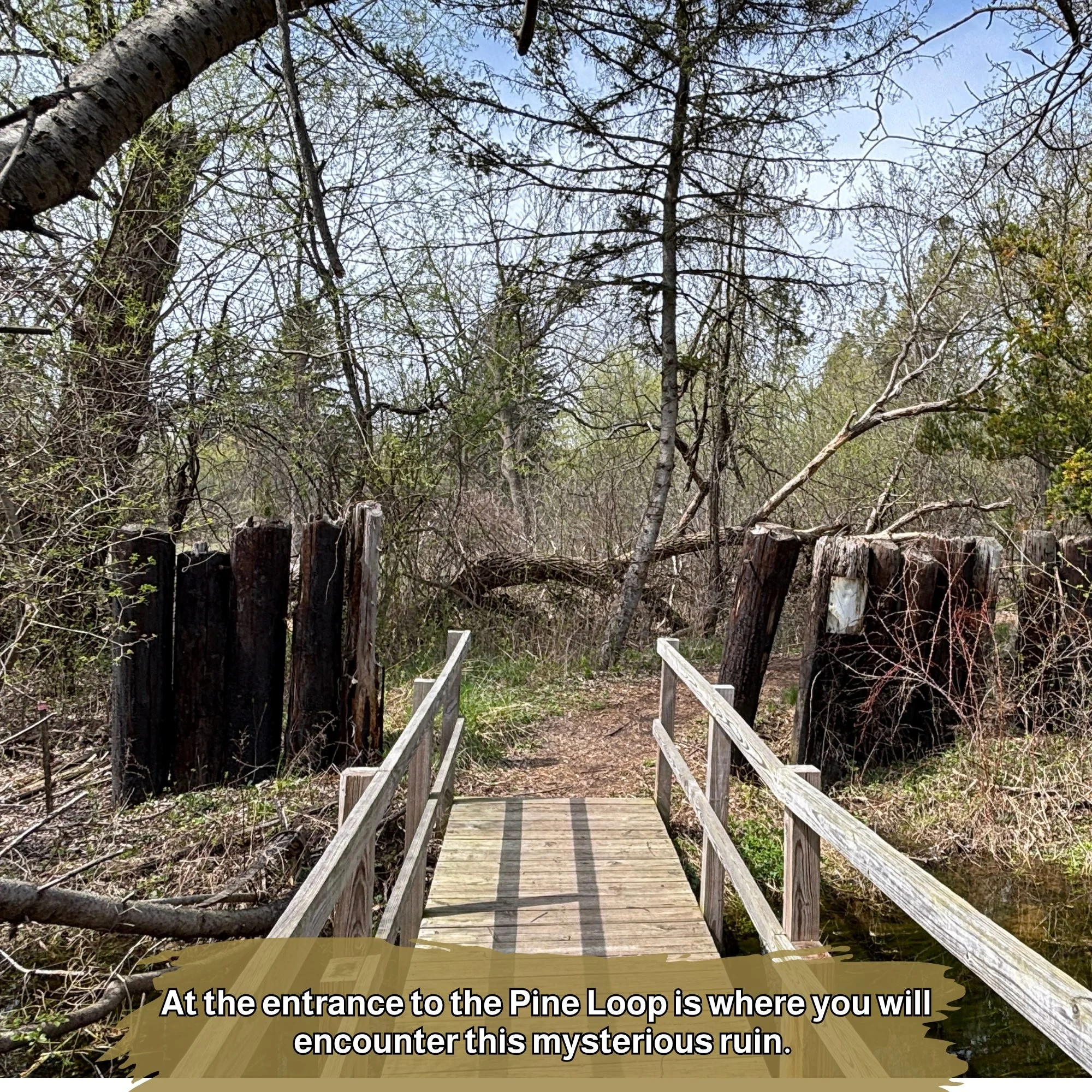 At the entrance to the Pine Loop, you&rsquo;ll spot one of the Nature Center&rsquo;s little mysteries.

Visitors often ask us what this old structure was used for - and honestly, we&rsquo;re not entirely sure. Rumor has it a former owner built it fro