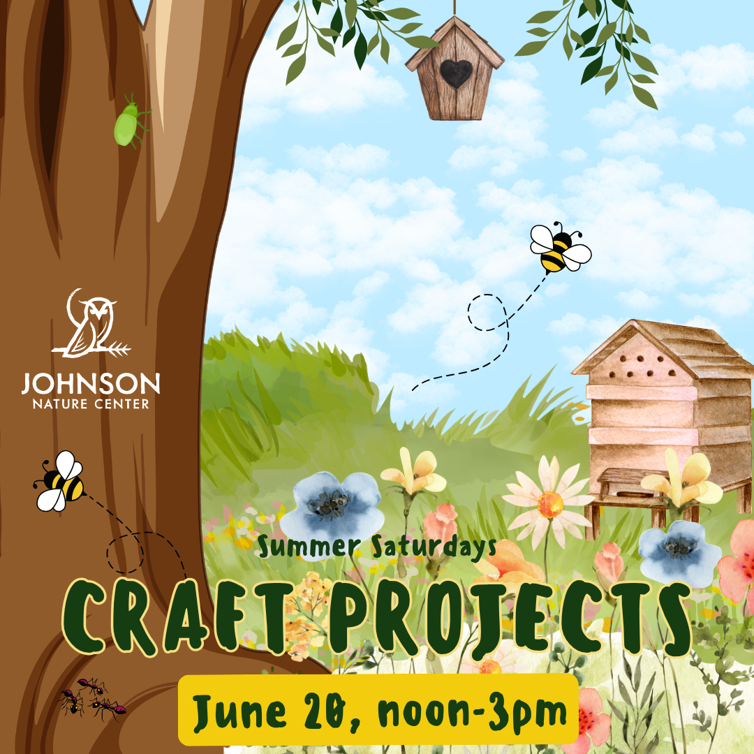 Bee Craft Project Saturday
